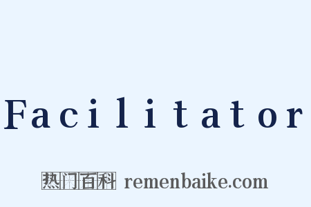 Facilitator是什么意思的图片